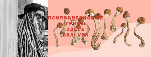 прущие грибы Волгодонск