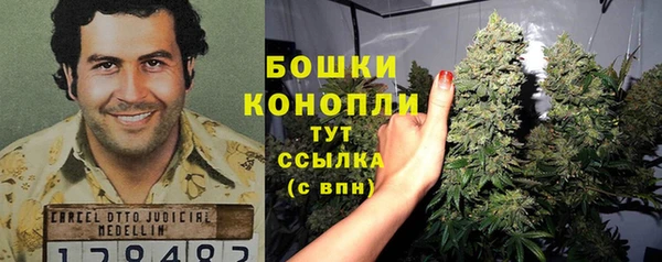 прущие грибы Волгодонск