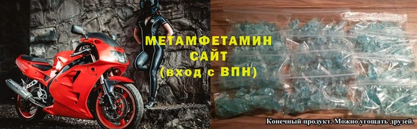 прущие грибы Волгодонск