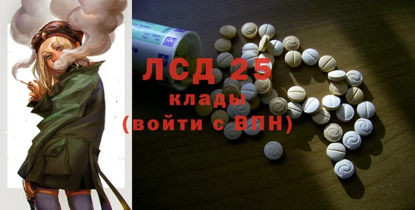 прущие грибы Волгодонск