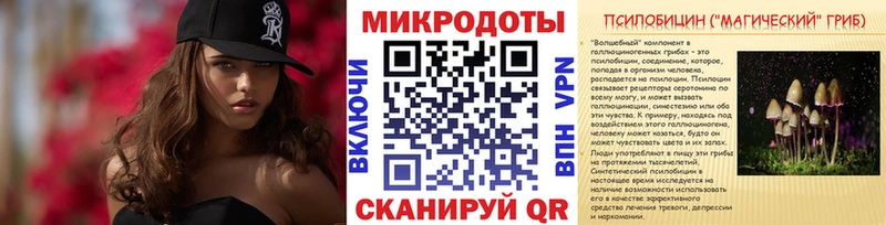 Псилоцибиновые грибы Cubensis Арамиль